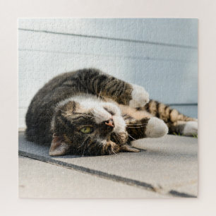 Lazy Cat Lounging op Porch Legpuzzel