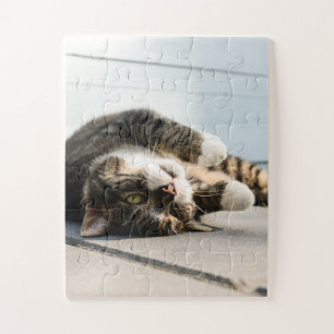 Lazy Cat Lounging op Porch Legpuzzel