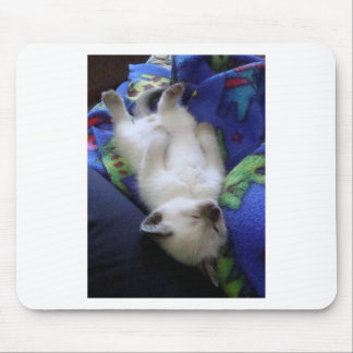 Lazy Cat Muismat