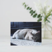Lazy Cat Napping Briefkaart (Staand voorkant)