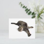 Lazy Cat Stretching Briefkaart (Staand voorkant)