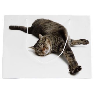 Lazy Cat Stretching Groot Cadeauzakje
