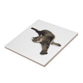 Lazy Cat Stretching Tegeltje (Zijkant)