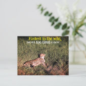 Lazy cheetah foto briefkaart (Staand voorkant)