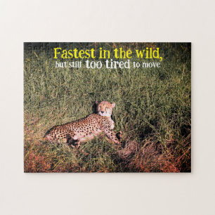 Lazy cheetah foto legpuzzel
