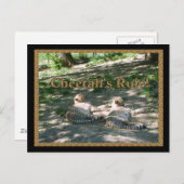 Lazy Cheetahs Briefkaart (Voorkant / Achterkant)