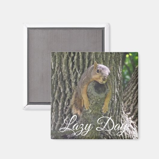 Lazy Day Grappige Eekhoorn slapen in Boom Magneet (Voorkant / Achterkant)