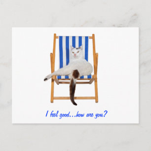 Lazy Day's Briefkaart