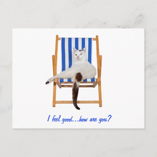 Lazy Day's Briefkaart (Voorkant)