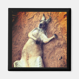 Lazy Days Kangaroo Magnet Magneet