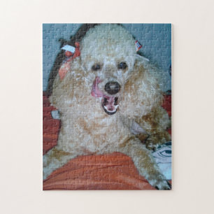 Lazy Day's Legpuzzel