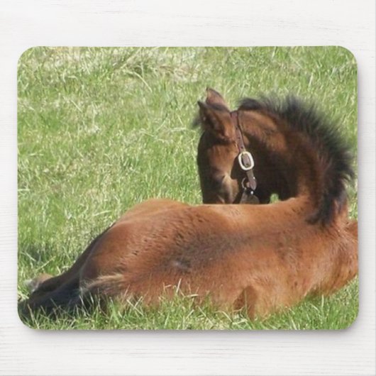 Lazy Days Muismat (Voorkant)