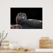 Lazy Days Poster (Keuken)