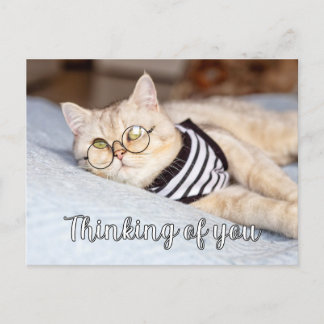 Lazy Days - Schattigee poesje Briefkaart