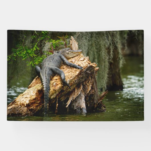 Lazy Gator 4x6' Banner (Horizontaal)