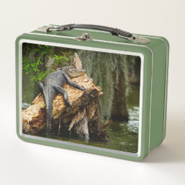 Lazy Gator Cypress Swamp Lunch Box van DeGruy