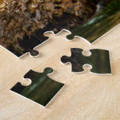 Lazy Gator Jigsaw Puzzle (Côté)