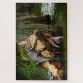 Lazy Gator Jigsaw Puzzle (Vertical)