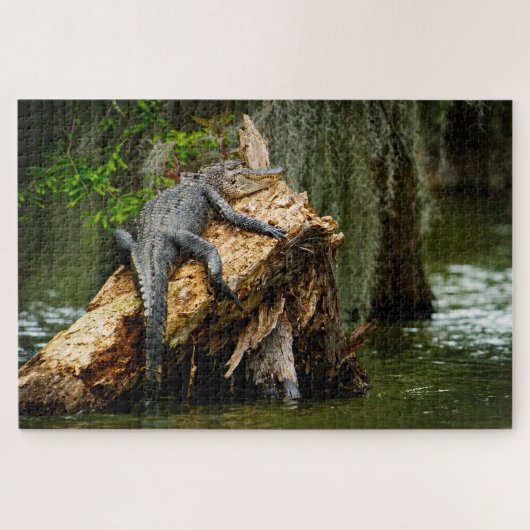 Lazy Gator Jigzaag Puzzle Legpuzzel (Horizontaal)