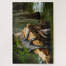 Lazy Gator Jigzaag Puzzle