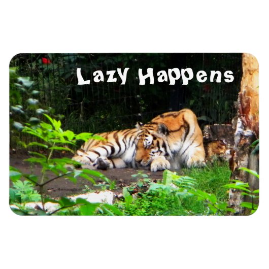 Lazy gebeurt in Siberian Tiger Magneet (Horizontaal)