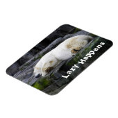Lazy geluk Polar Beer Magneet (Linkerzijde)