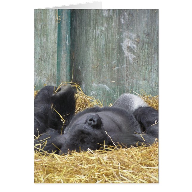Lazy Gorilla Card (Voorkant)
