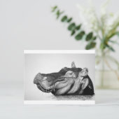 Lazy Hippo Briefkaart (Staand voorkant)