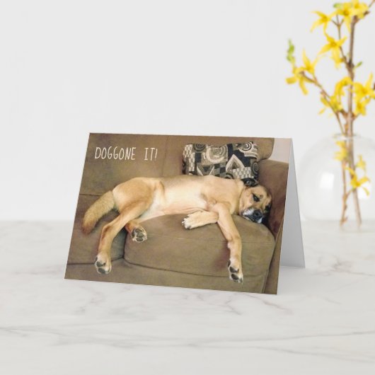 Lazy Hound Dog op Couch Kaart (Gele Bloem)