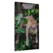 Lazy leopard klembord (Rechts)