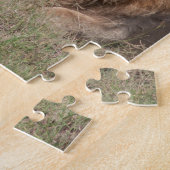 Lazy Lion Brothers op de Savannah Legpuzzel (Zijkant)