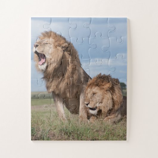 Lazy Lion Brothers op de Savannah Legpuzzel (Verticaal)
