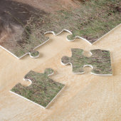 Lazy Lion Brothers op de Savannah Legpuzzel (Zijkant)