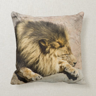 Lazy Lion Sierkussen