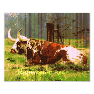 Lazy Longhorn Foto Afdruk