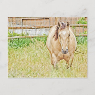 Lazy Morning Briefkaart