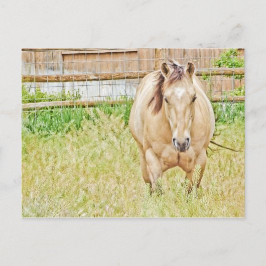 Lazy Morning Briefkaart (Voorkant)