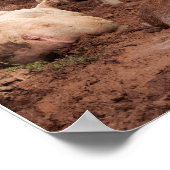 Lazy Pigs in Mud Poster (Hoek)