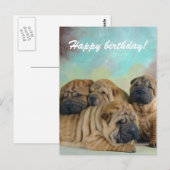 Lazy shar pei Happy verjaardagskaart! Briefkaart (Voorkant / Achterkant)
