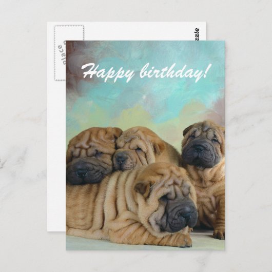 Lazy shar pei Joyeux anniversaire! carte (Devant / Derrière)