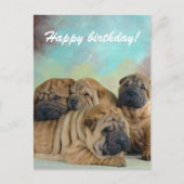 Lazy shar pei Joyeux anniversaire! carte (Devant)