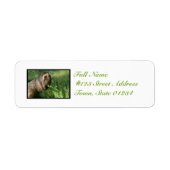 Lazy Sloth Mailing Labels (Voorkant)