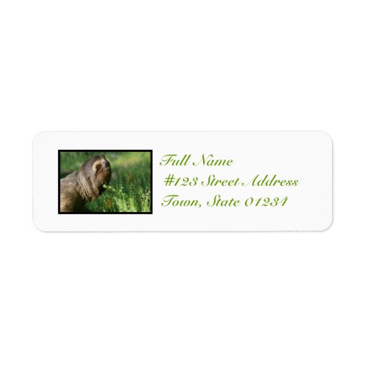 Lazy Sloth Mailing Labels (Voorkant)