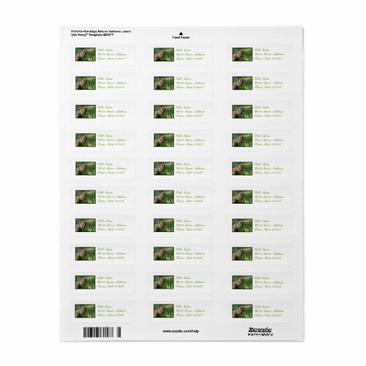 Lazy Sloth Mailing Labels (Full Sheet)