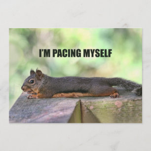 Lazy Squirrel Foto Kaart