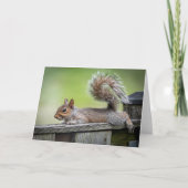 Lazy Squirrel Note Card Bedankkaart (Voorkant)