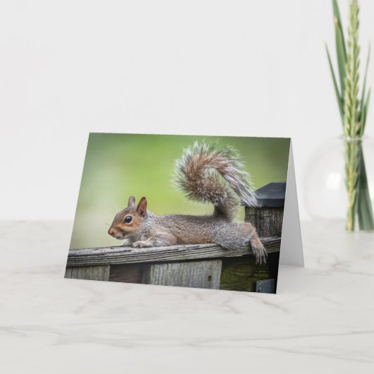 Lazy Squirrel Note Card Bedankkaart (Voorkant)