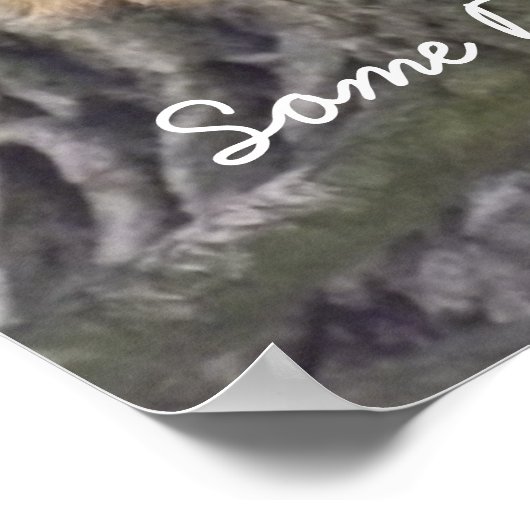 Lazy Squirrel Resting on Tree Branch Photography Poster (Hoek)