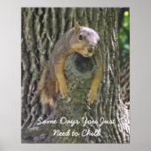 Lazy Squirrel Resting on Tree Branch Photography Poster (Voorkant)