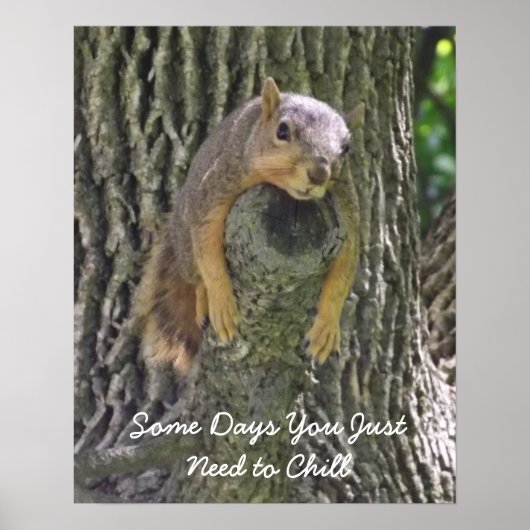 Lazy Squirrel Resting on Tree Branch Photography Poster (Voorkant)